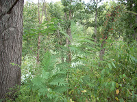72802007 007.jpg