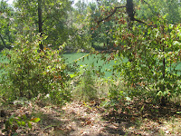 Jones Reunion 2010 052.JPG