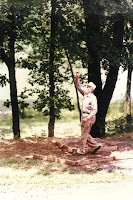 529scans 011.jpg