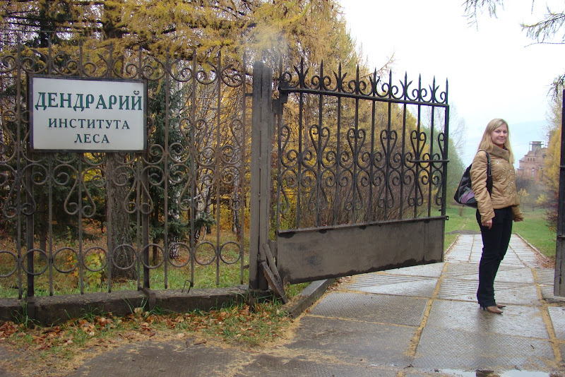 Дендрарий красноярск фото