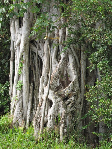 [IMG_08632.jpg]