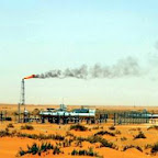 Secteur des hydrocarbures en 2009 : Entre tempête judiciaire et ambitions gazières