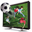 Sony annonce sa TV 3D pour 2010