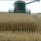 61 millions de quintaux de céréales produits en 2009