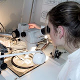 Contrôle des produits pharmaceutiques L’Institut Pasteur écarté Contrôle des produits pharmaceutiques L’Institut Pasteur écarté