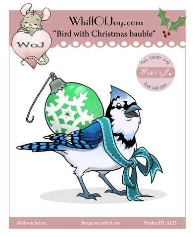 [A223_Bird with Christmas Bauble[4].jpg]