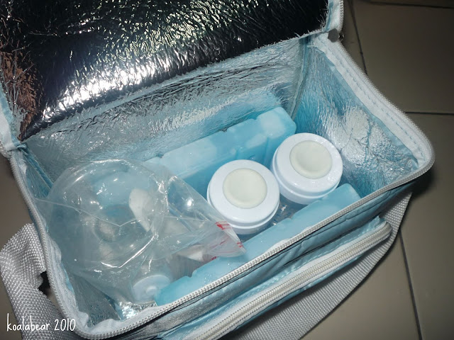 cooler bag daiso malaysia
