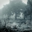 horseinwinterfield Iarna nu vrea sa plece ( Galerie Foto )