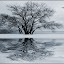 winterflight Iarna nu vrea sa plece ( Galerie Foto )