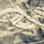 wintertheme Iarna nu vrea sa plece ( Galerie Foto )