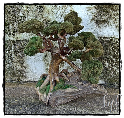 arbre paper 1 arbre paper 1