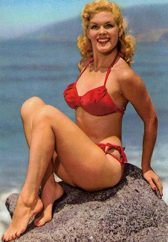 classic bikini smallest bikini contest vintage bikini pic classic bikini smallest bikini contest vintage bikini pic