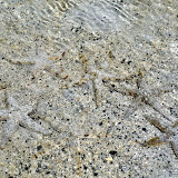 DSC_9828.JPG
