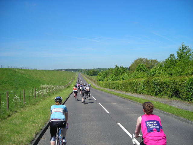 On the Road (pic courtesy of Spybot)