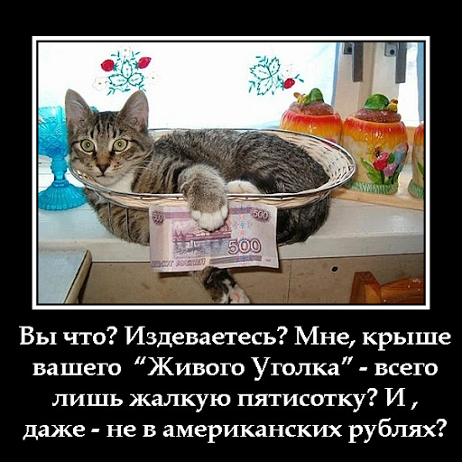 http://lh6.ggpht.com/_otmYcjCLyc4/TQJswHpTaPI/AAAAAAAAA8c/fd_AT5B5lsI/krysha-001.jpg