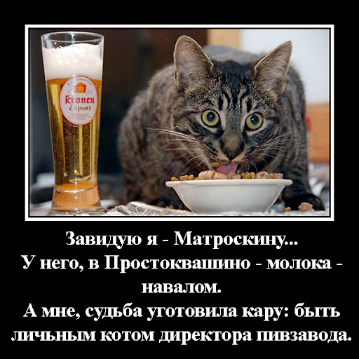 http://lh6.ggpht.com/_otmYcjCLyc4/TSw-xDpV_9I/AAAAAAAABK8/PdA6t3xxlzY/kot_i_pivo.jpg
