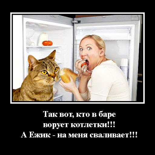 http://lh6.ggpht.com/_otmYcjCLyc4/TSxQ3Z2oauI/AAAAAAAABLY/3pamc6crFC0/kotletvagis.jpg