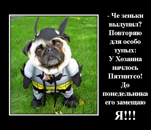 http://lh6.ggpht.com/_otmYcjCLyc4/TTDLgU-EuiI/AAAAAAAABNg/bXLG1IIzPfk/piatnico-001.jpg