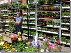 Columbia Road Flower Market
