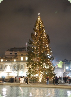Trafalgar Square Christmas Lights and Champagne Concert