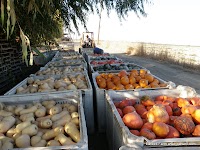 PA140010.JPG