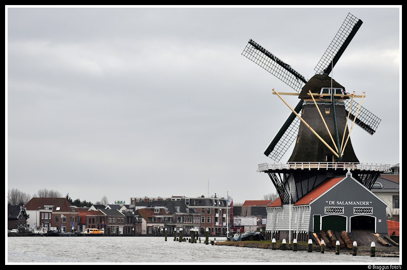 Fotografie