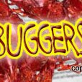 Mudbuggers.com Concept Header, Logo