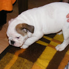 DSCF6620.JPG