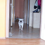 100_3626.JPG