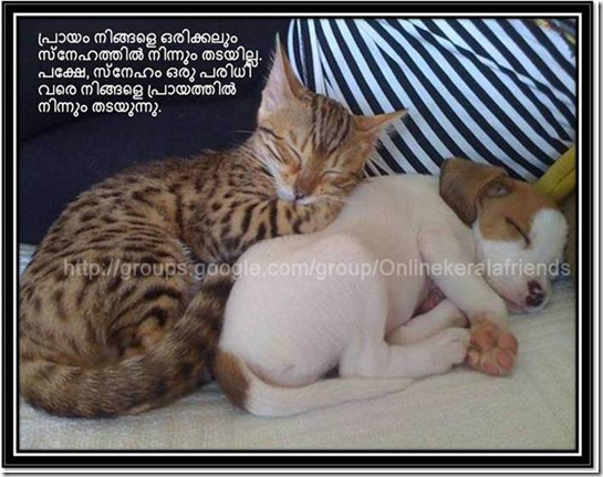 image Friendship