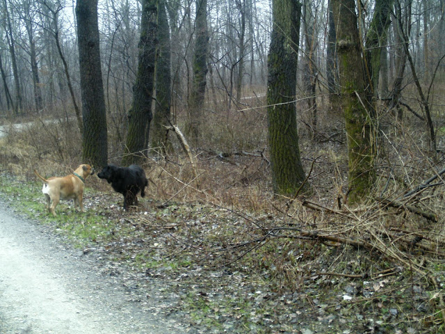 BILD0267.JPG