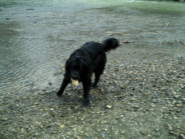 BILD0299.JPG