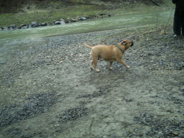 BILD0310.JPG