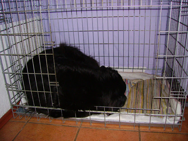 PICT0060.JPG