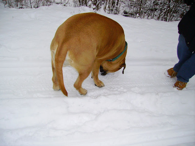 PICT0069.JPG