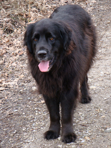 DSC00775.JPG