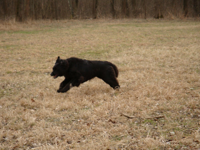 DSC01014.JPG