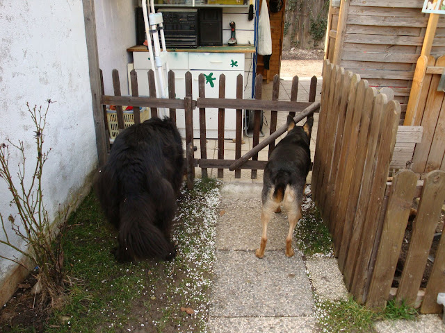 DSC01059.JPG