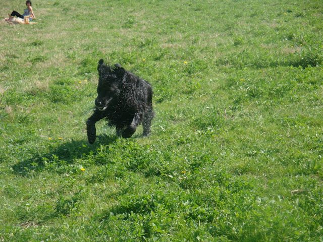DSC01432.JPG