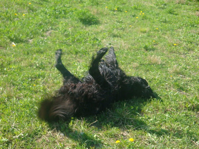 DSC01544.JPG