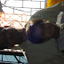 DSC00968.JPG