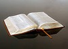 [Bible[4].jpg]