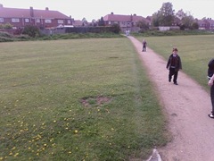 Playground Trees