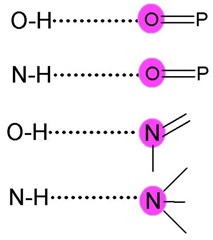 [variousH-bonds2[13].jpg]