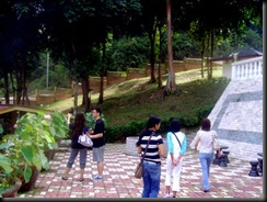 DSCI1428