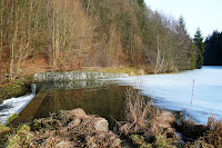 P1080180.JPG Photo