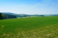 P1080380.JPG Photo