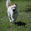 DSC_0077.JPG