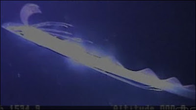 Imagem do peixe-remo captada por cientistas (Foto:BBC Earth News)