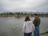 Mom and dad feeing the ducks and gulls at the mini-lake in the park by their house.